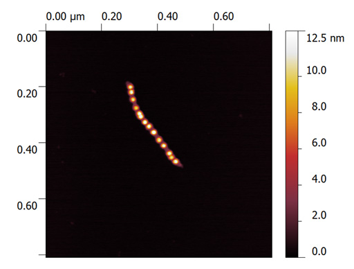 DNA origami tube (400 nm lenght) for plasmon wave guide