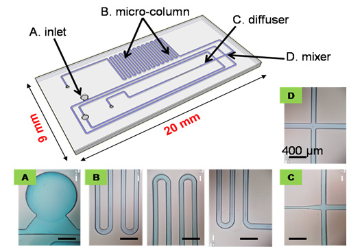 Micro fluidicd device (9 mm x 20 mm) for bio-chemical analysis